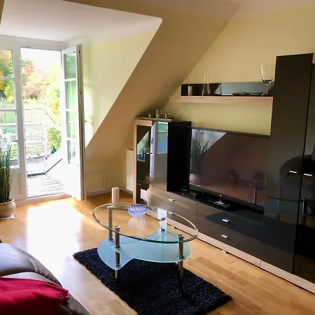 Ferienwohnung Im Gruenen Auf Idyllisch Gelegenen Gutshof Und Doch So Zentral Waldshut-Tiengen Exterior photo