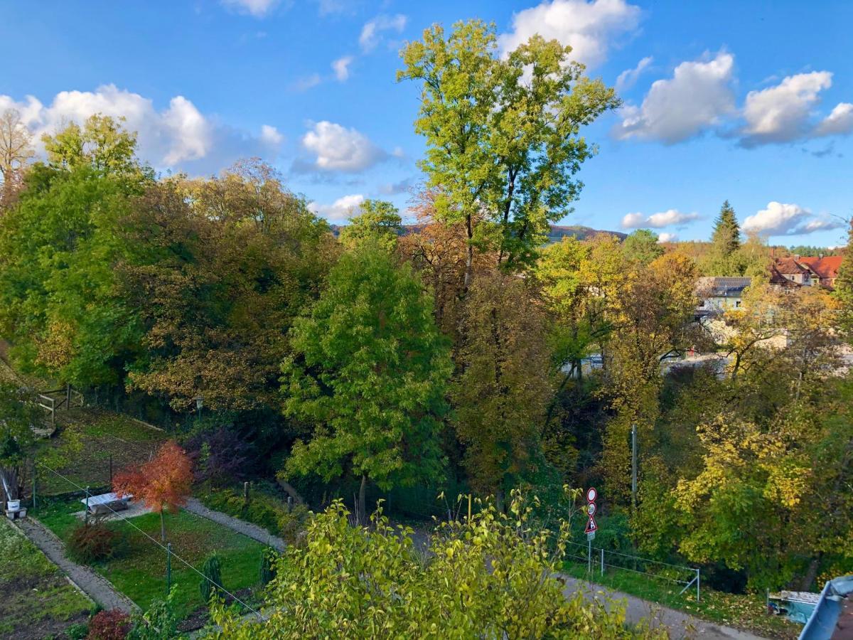 Im Gruenen Auf Idyllisch Gelegenen Gutshof Und Doch So Zentral *
